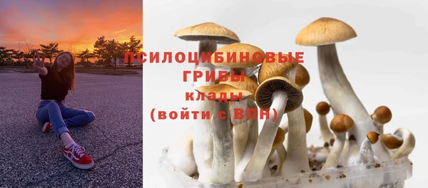 мдпв Бугульма