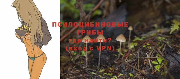 ПСИЛОЦИБИНОВЫЕ ГРИБЫ Бронницы
