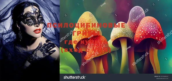 мдпв Бугульма