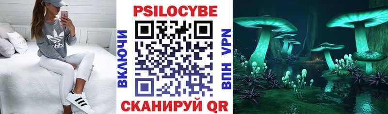 где можно купить   omg ONION  Галлюциногенные грибы ЛСД  Клинцы 